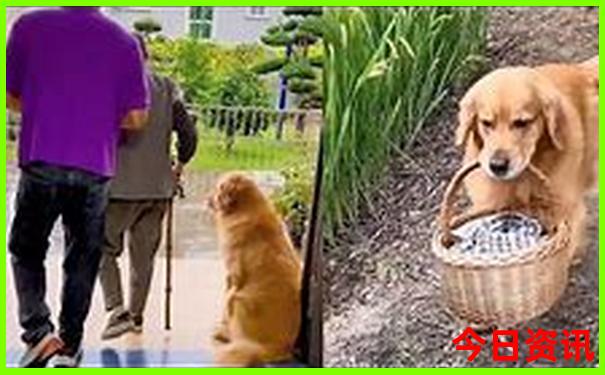 北京到东北旅游攻略